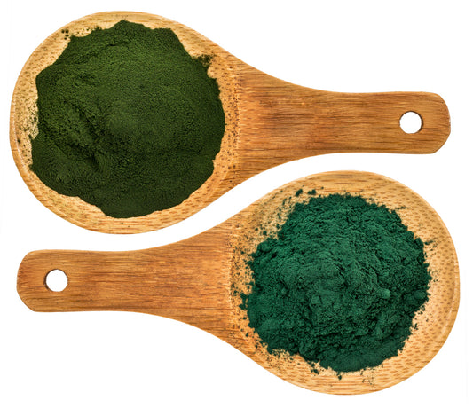 Image of two wooden spoons holding green and brown powder, containing spirulina and chlorella benefits.