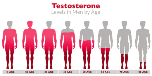 Picture displaying testosterone levels in males and females with low testosterone indication.