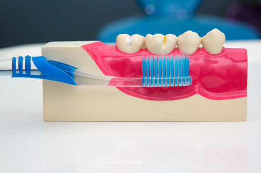 A close-up of a toothbrush gently brushing receding gums.