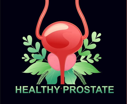 Healthy prostate with green leaves and flowers. A vector illustration depicting a vibrant and thriving prostate
