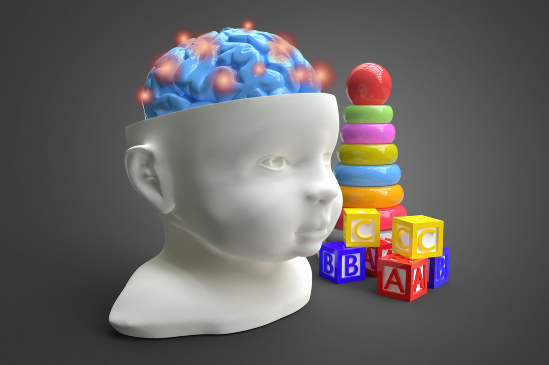 A 3D image of a child's brain with blocks and a brain, showcasing in utero brain development.
