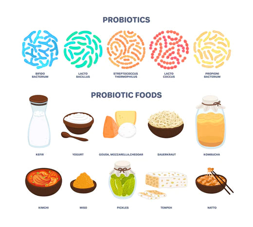 Image: A variety of probiotic foods, including yogurt, sauerkraut, and kimchi, showcasing their health benefits.