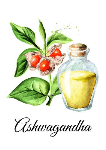 Ashwagandha gummies - a herbal supplement known for anti-inflammatory properties