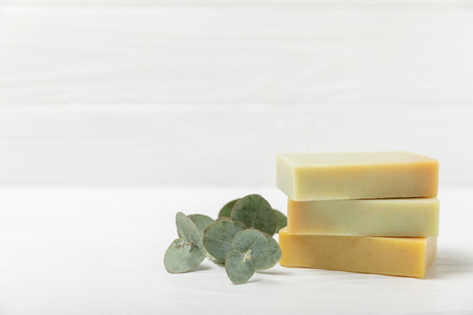 Eucalyptus Soap with eucalyptus extract and natural herbs on a white background. 